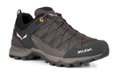 Salewa Wanderschuhe Mtn Trainer Lite GTX (Zustieg, wasserdicht) braun Herren